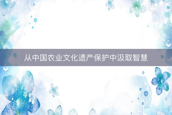 从中国农业文化遗产保护中汲取智慧