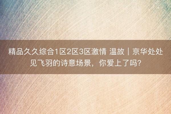 精品久久综合1区2区3区激情 温故｜京华处处见飞羽的诗意场景，你爱上了吗？